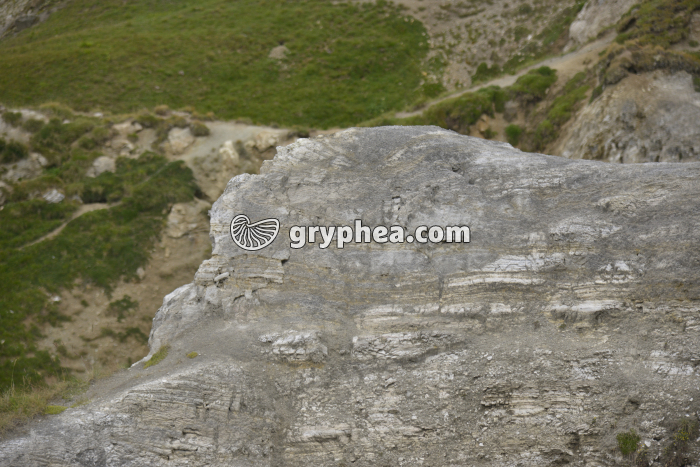 Gypse (Col du Galibier) - gryphea.org